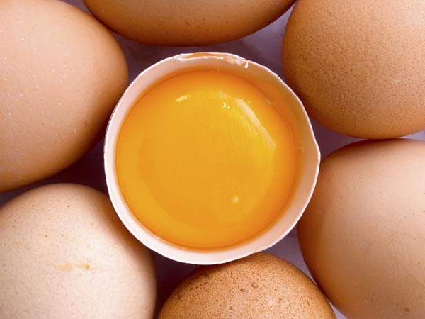 முட்டையின் வெள்ளைக் கரு