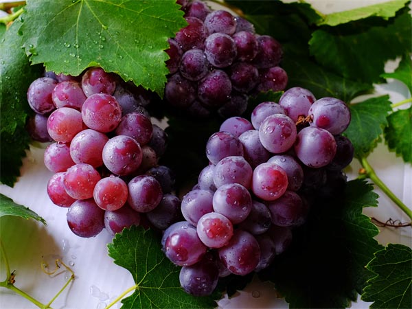 4. தேன் மற்றும் திராட்சை