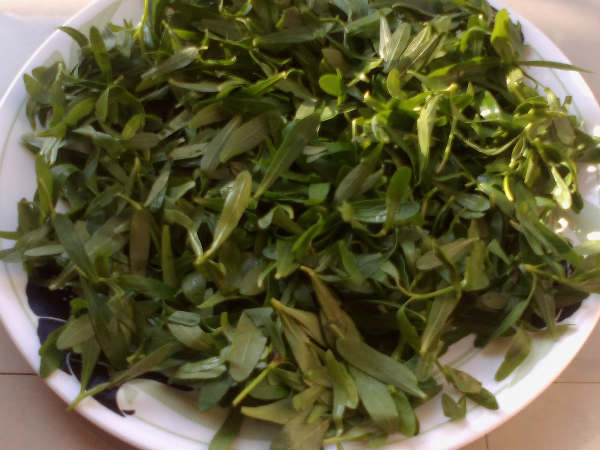 5. பொன்னாங்கன்னி