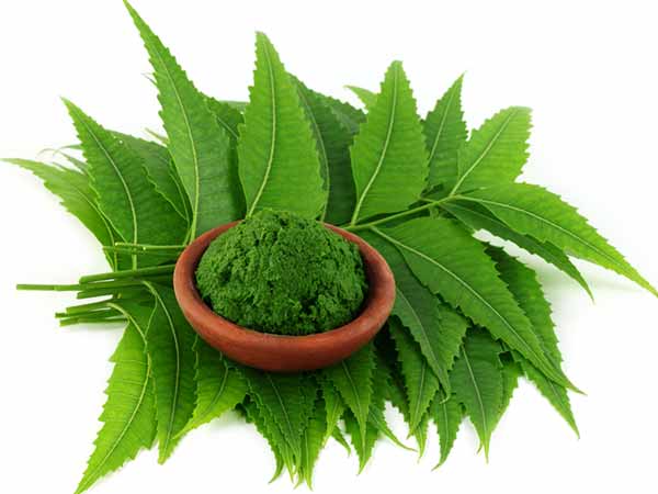பருக்களைப் போக்கும் வேப்பிலை