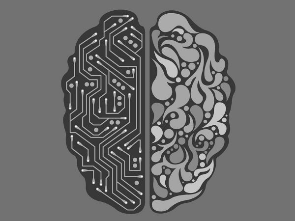அமிக்டாலா (Amygdala)