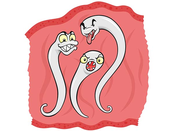 வயிற்று புழுக்கள்