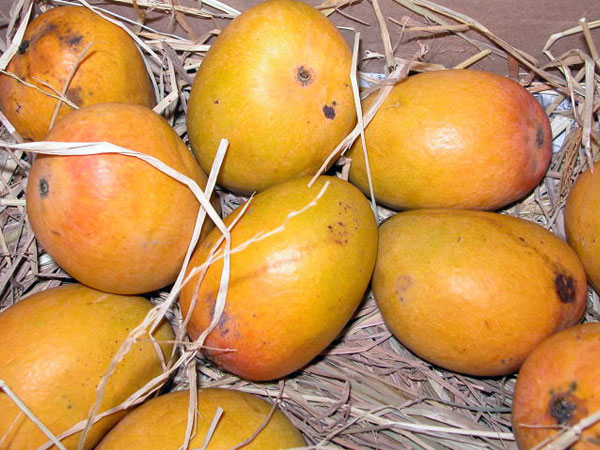 நன்மைகள்: