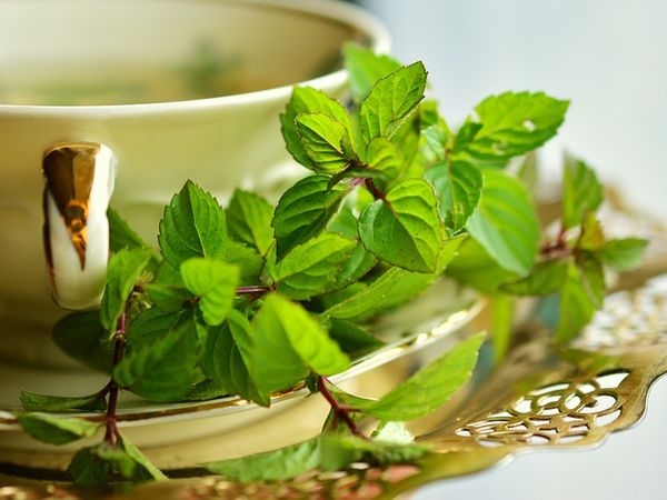 வைத்திய முறைகள்