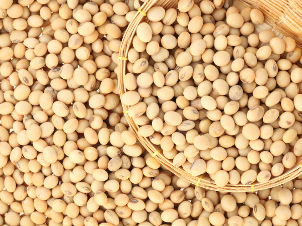 சோயா