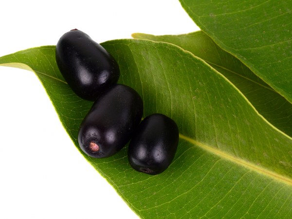 செய்முறை #2