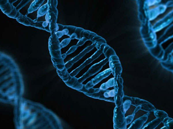 DNA பாதிப்பா..?