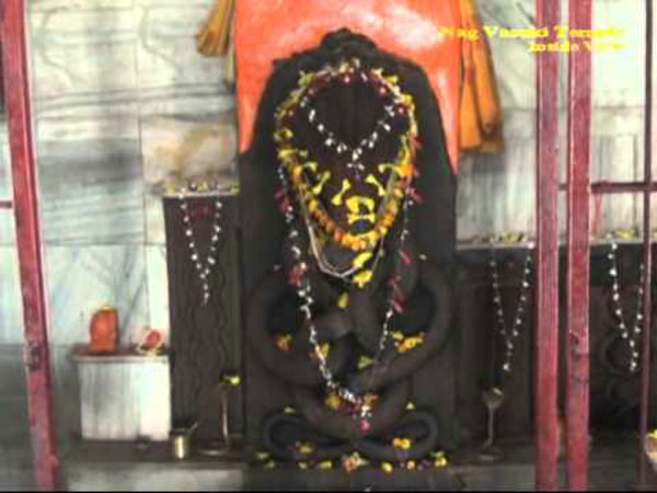 நாக வாசுகி ஆலயம்