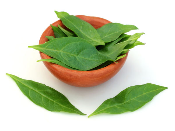 மருதாணியுடன் செம்பருத்தி