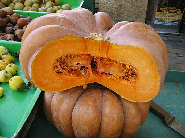 பூசணி