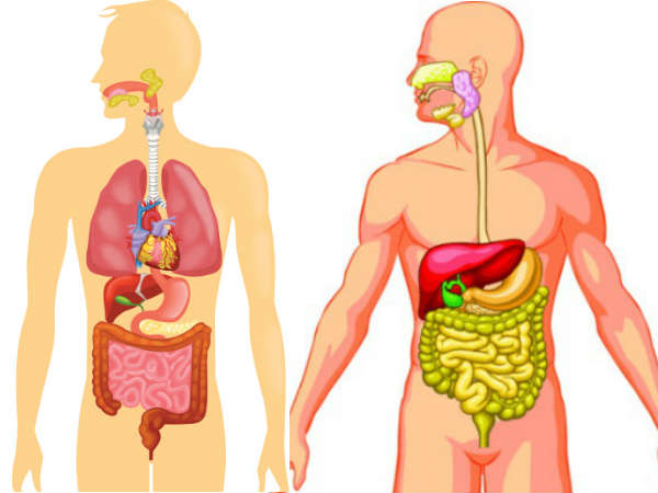 கழிவுகள் வெளியேறும்