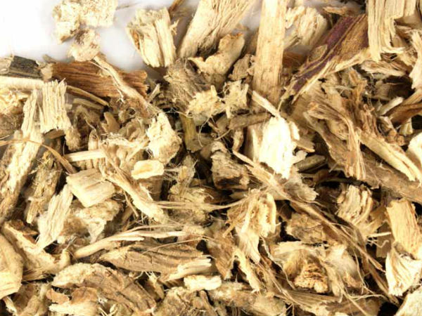 மாஷ்மேல்லோ வேர்கள்