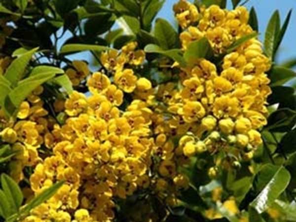 அடங்கியவை