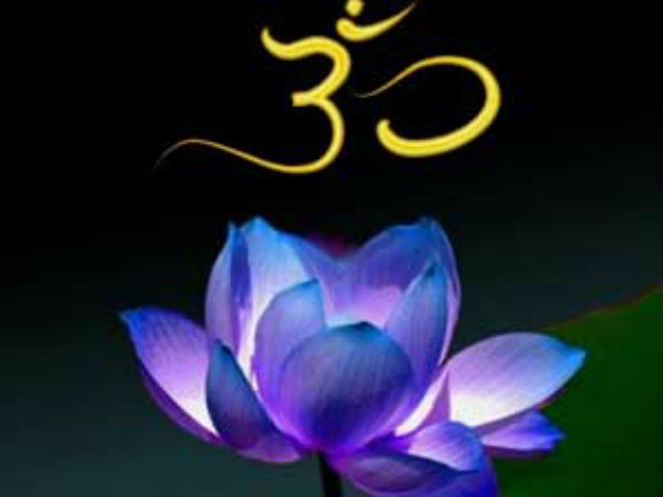 தன் வைபவ் (செல்வத்தை சம்பாதிக்க):