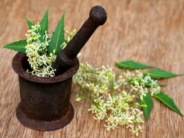 வேம்பு மருத்துவம்