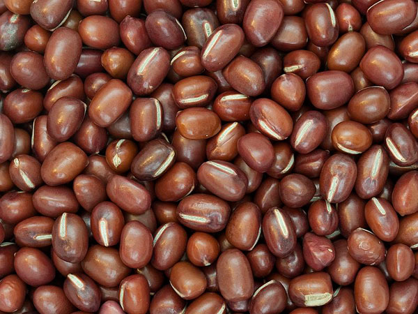 பிரேசில்