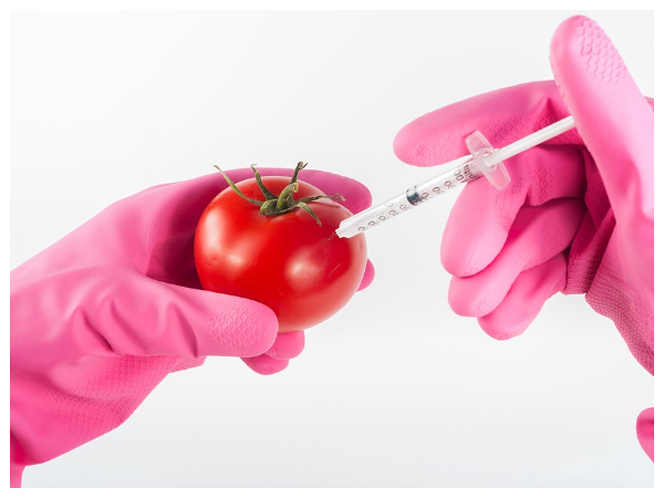Hybrid Vs GMO..!