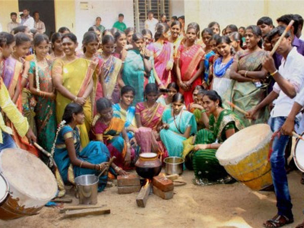 பொங்கலோ பொங்கலோ..!