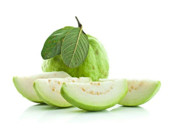 மருத்தவ இலை