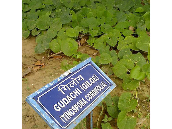 குறிப்பு