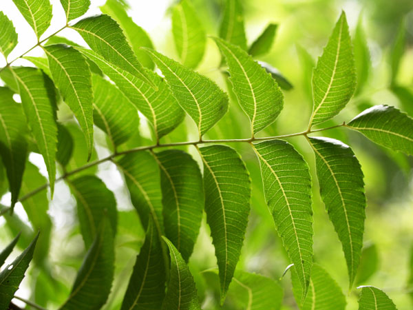 தண்ணீரின் வெப்பநிலை