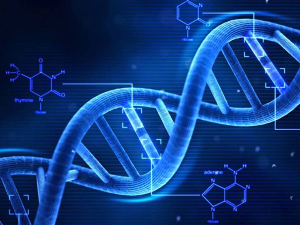 DNA மாற்றம்..!