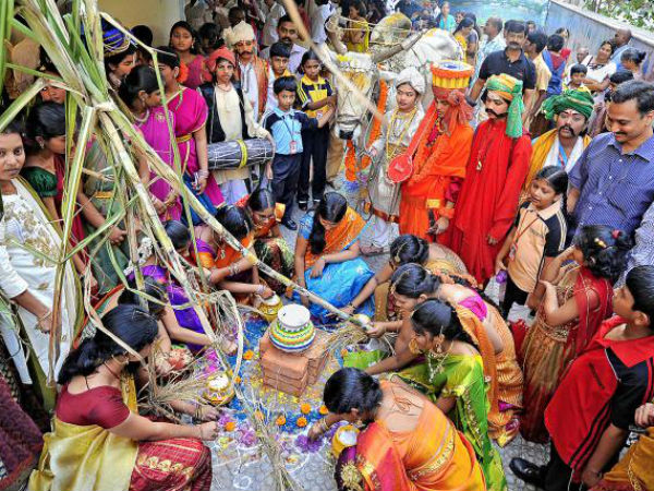 பொங்கலின் மகிழ்ச்சி
