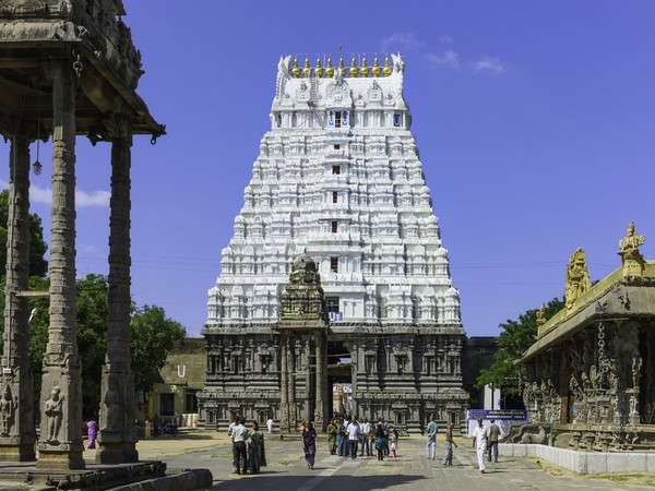 பூமியின் காந்த அலைகள்