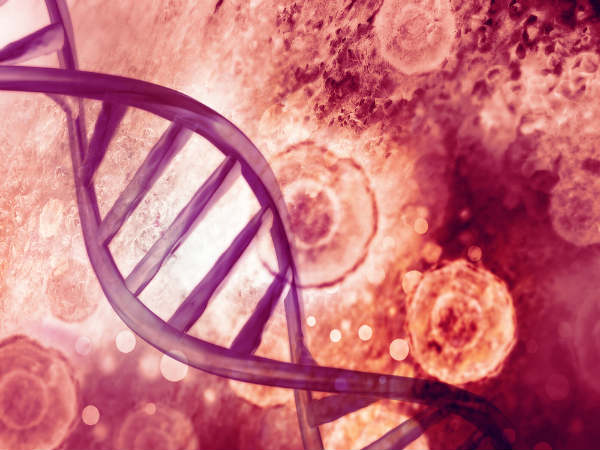 DNA சிதைவு.!