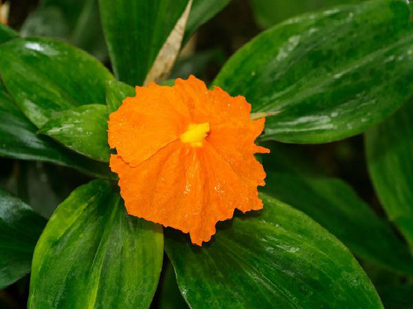 பக்க விளைவுகள்