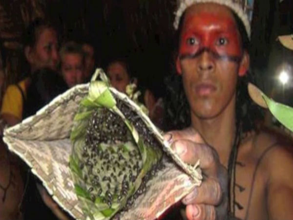 ஆண்மையை நிரூபிக்க
