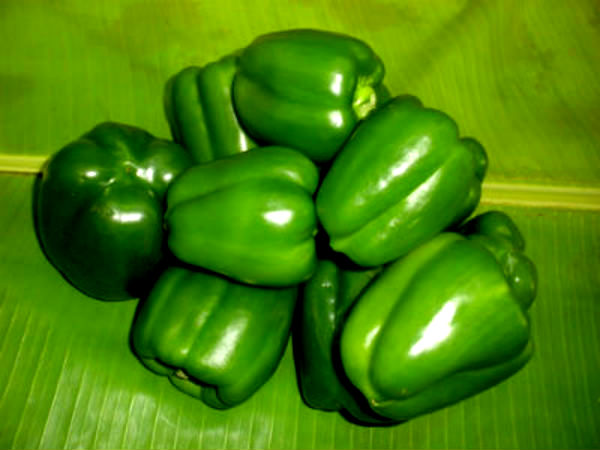 பச்சை நிறம்