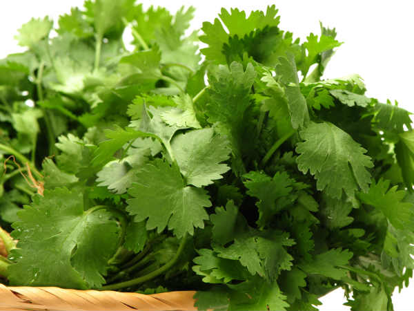 மூலிகை