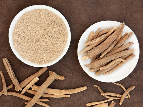 எந்த மூலிகைகள்