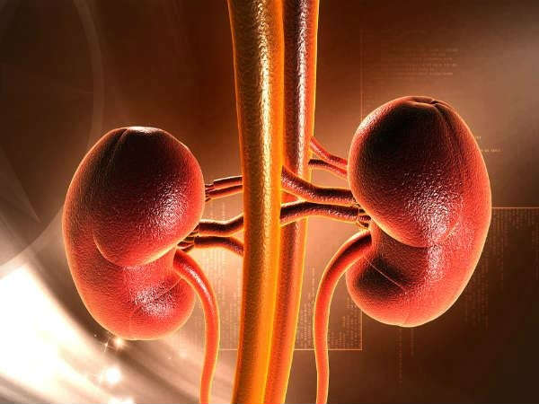 சிறுநீரக தொற்று
