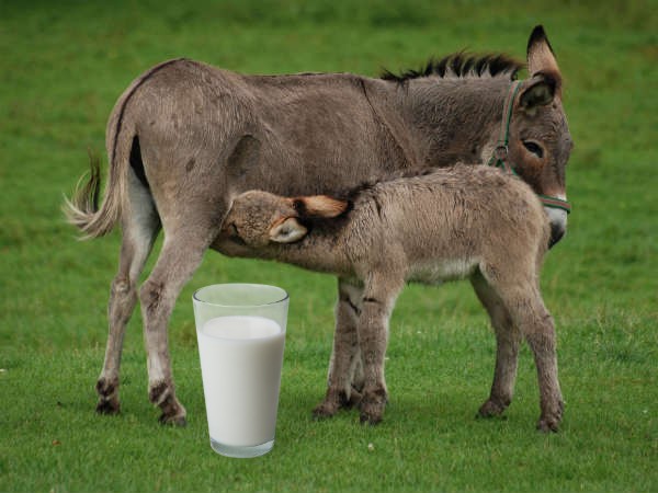காரணம் என்ன?
