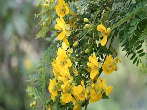 முடிவு