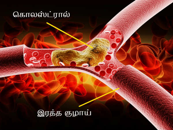 கொலஸ்ட்ரால்