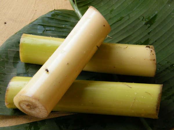 வாழை திரி