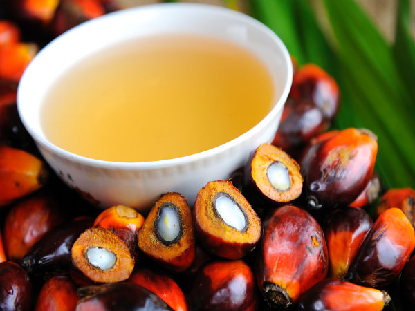 பனைமர எண்ணெய்