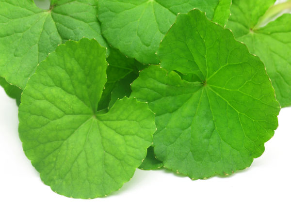 பயன்கள்