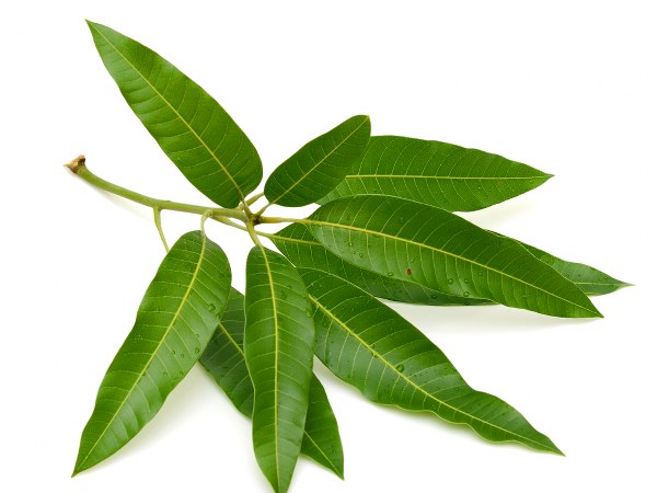 சுப காரியங்களின் போது