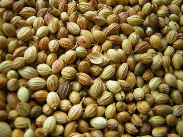 கொத்தமல்லி விதை
