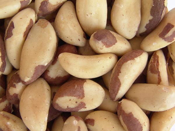 பிரேசிலின் நட்ஸ்