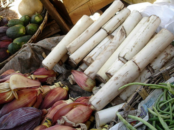 மரபு வைத்திய முறைகள்