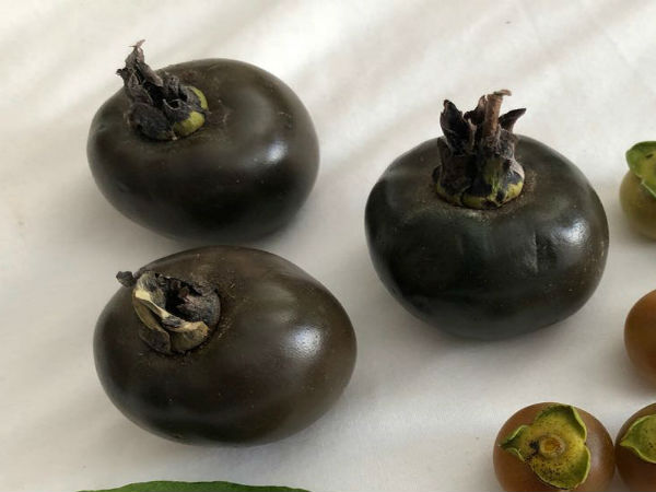 முடிவுரை