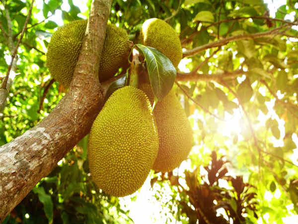 புற்றுநோய்