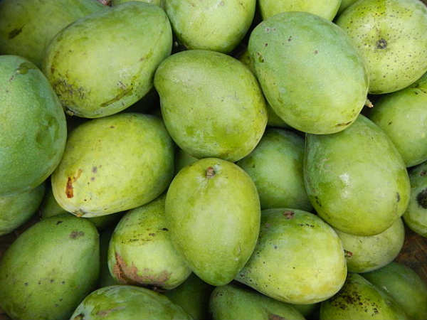 வேறு என்ன செய்யலாம்?