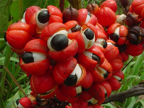 முன்னெச்சரிக்கை
