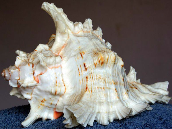 ஆயுர்வேதம்